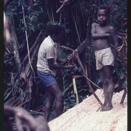 Boy Standing on Felled Tree
