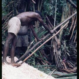 Man Standing on Felled Tree