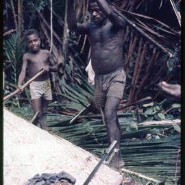 Man Cutting Felled Tree