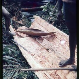 Felled Tree with Tools