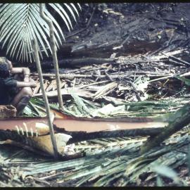 Woman Beside Felled Sago Palm