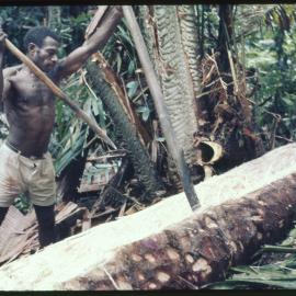 Man Cutting Felled Tree