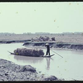 Bringing in Hay, Thailand