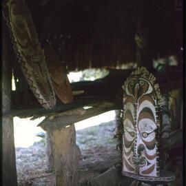 Traditional Shields, Papua New Guinea