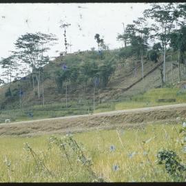Terraced Hillside