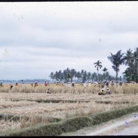 Group of People Gathered in a Field