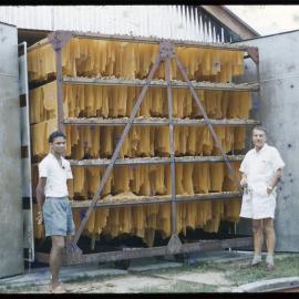 Two Men Standing by Drying Rubber Sheets