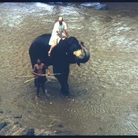 Two Men with an Elephant
