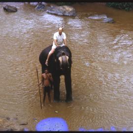 Two Men with an Elephant