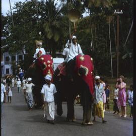 Procession with Elephants