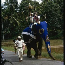 Procession with Elephants
