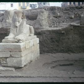 Sphinx at the Avenue of Sphinxes, Luxor