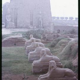 Avenue of Sphinxes, Luxor Temple