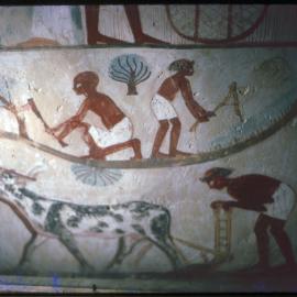Hieroglyphic at the Valley of the Kings