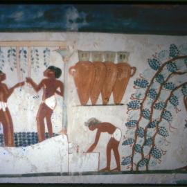 Hieroglyphic at the Valley of the Kings