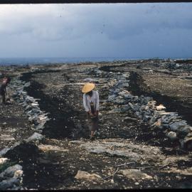 Group Standing on Rocky Landscape
