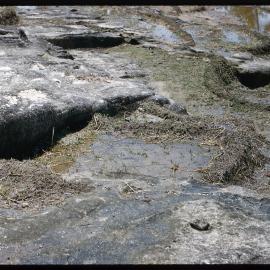 Terraced Land