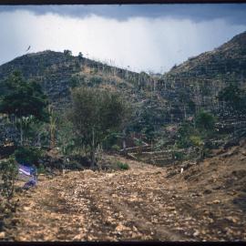 Terraced Hillside