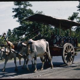 Cart Pulled by Oxen