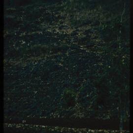 Rocky Landscape