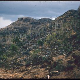 Terraced Hillsides