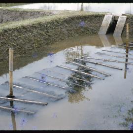 Aquaculture Structure