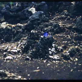 Rocky Ground