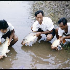 Three Men with Fish