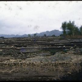 Terraced Landscape