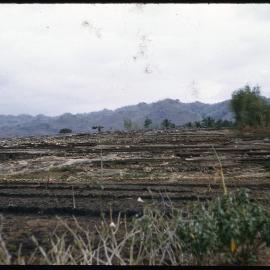 Terraced Landscape