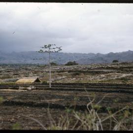 Terraced Landscape