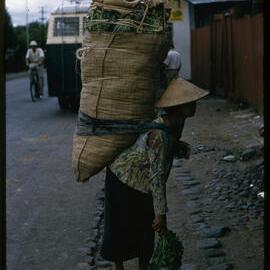 Woman Carrying Large Bag of Produce