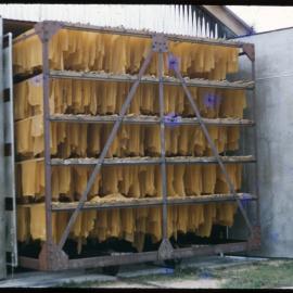 Rubber Sheets on Drying Rack, Malaysia