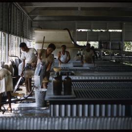 Men Processing Rubber, Malaysia