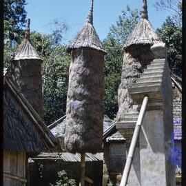 Thatched Structures