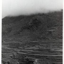 Rice Terraces, Ifugao
