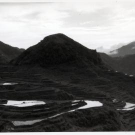 Rice Terraces, Ifugao
