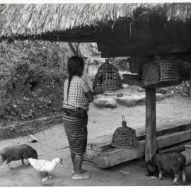 Woman with Livestock