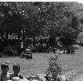 Groups Gathered Beside Trees