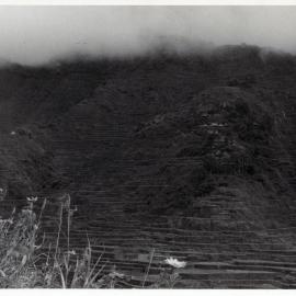 Rice Terraces, Ifugao