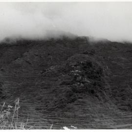 Rice Terraces, Ifugao