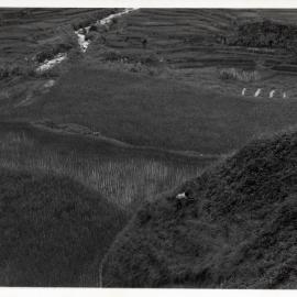 Rural Landscape, Ifugao
