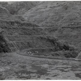 Rice Terraces, Ifugao