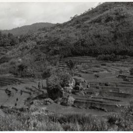 Rice Terraces, Ifugao