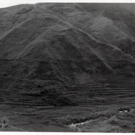 Rice Terraces, Ifugao