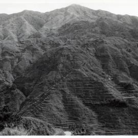 Rice Terraces, Ifugao