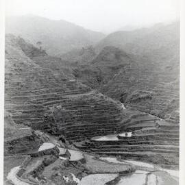 Rice Terraces, Ifugao