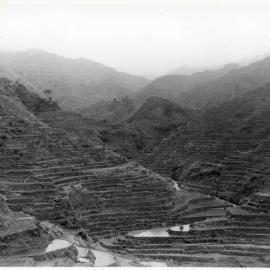 Rice Terraces, Ifugao