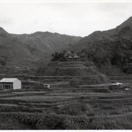 Rice Terraces, Ifugao