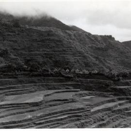 Rice Terraces, Ifugao